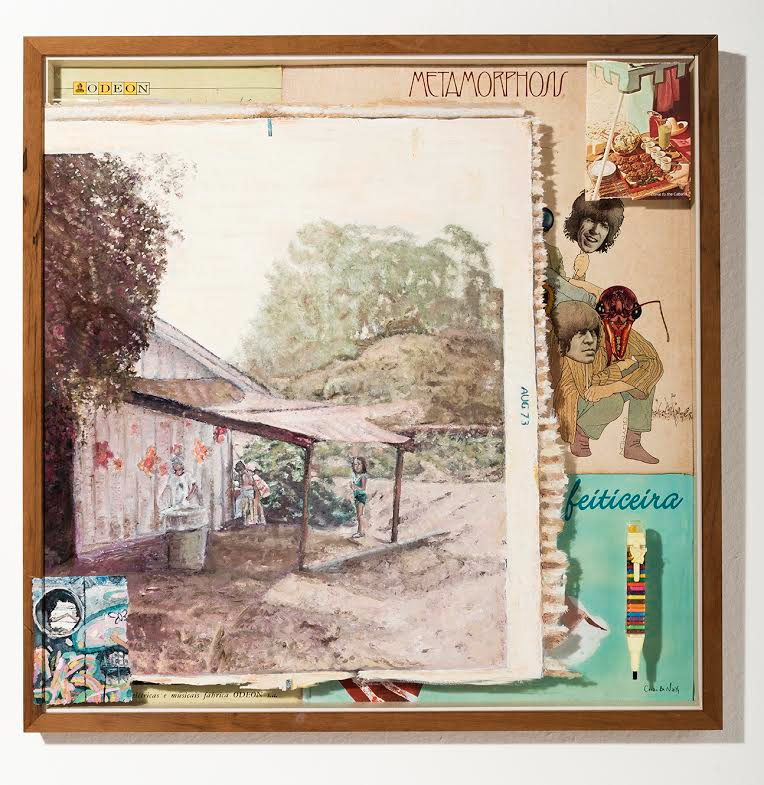 arte351-maria-fernanda-lucena002