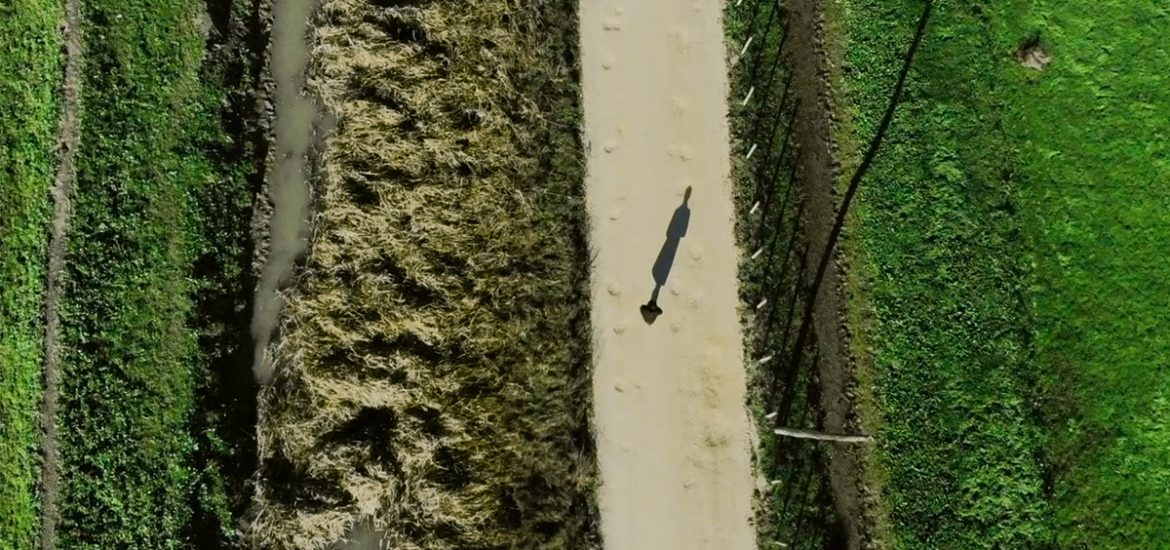 pessoa vista de cima drone relva campo verde