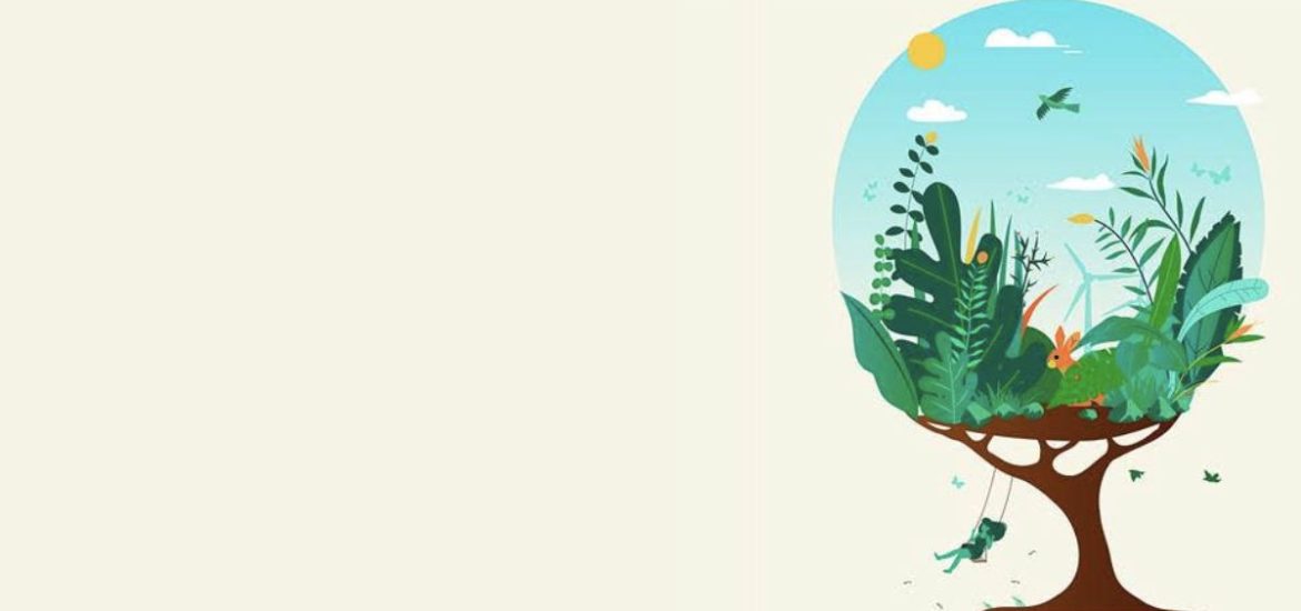 árvore ilustração